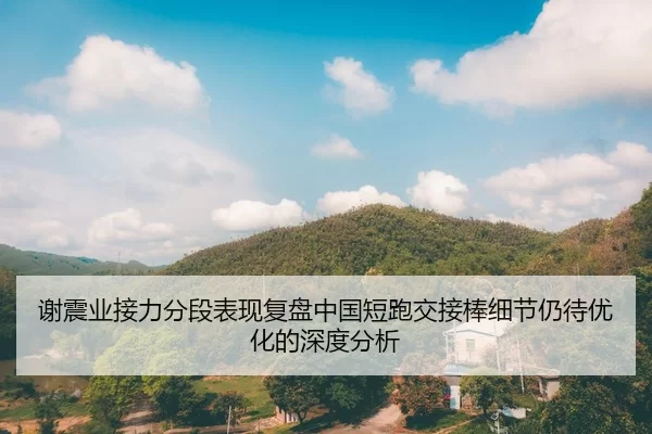 xie-zhen-ye-jie-li-fen-duan-biao-xian-fu-pan-zhong-guo-duan-pao-jiao-jie-bang-xi-jie-reng-dai-you-hua-de-shen-du-fen-xi-2-488.jpg