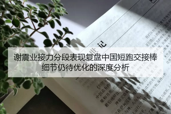 谢震业接力分段表现复盘中国短跑交接棒细节仍待优化的深度分析