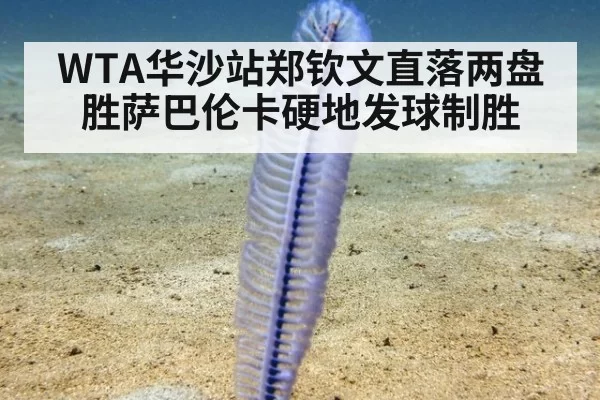 WTA华沙站郑钦文直落两盘胜萨巴伦卡硬地发球制胜