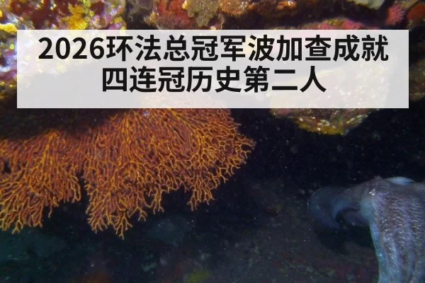 2026环法总冠军波加查成就四连冠历史第二人