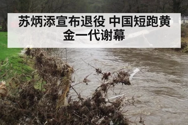 苏炳添宣布退役 中国短跑黄金一代谢幕